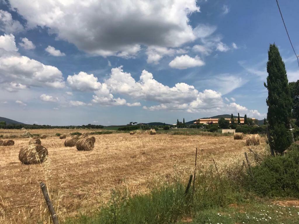 Agriturismo Colle D' Oro Pescia Romana Exteriör bild